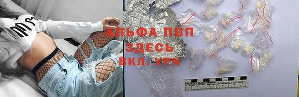 прущие грибы Абаза