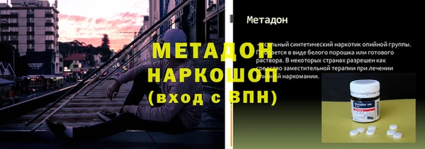 прущие грибы Абаза