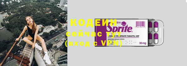 хмурый Новозыбков
