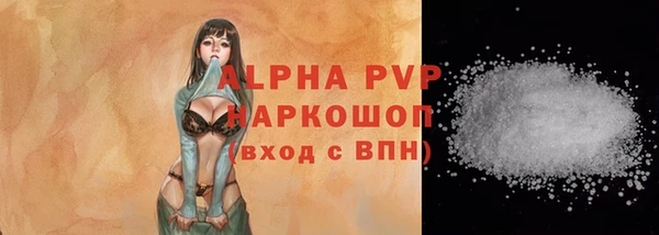 прущие грибы Абаза
