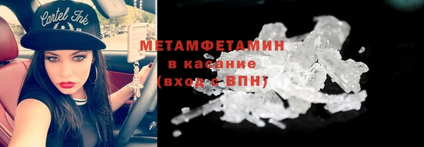 прущие грибы Абаза