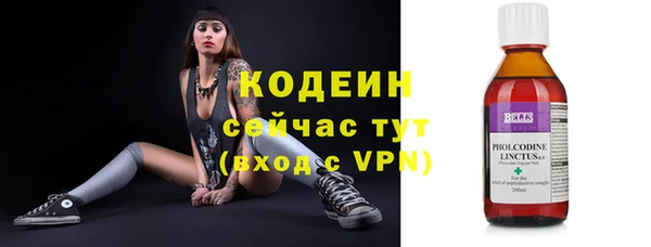 прущие грибы Абаза