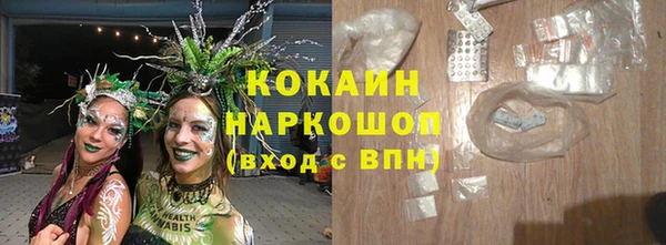прущие грибы Абаза