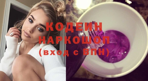 прущие грибы Абаза