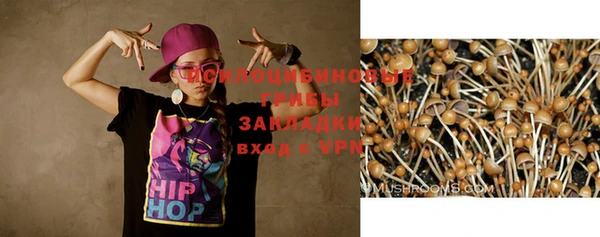 СК Абинск