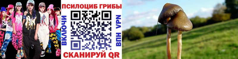 закладки  Углегорск  Галлюциногенные грибы Magic Shrooms 